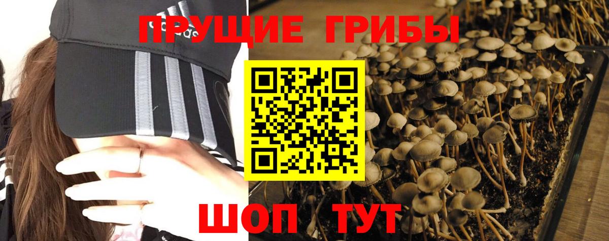 что такое   Вход с VPN  Томск  Псилоцибиновые грибы мухоморы 